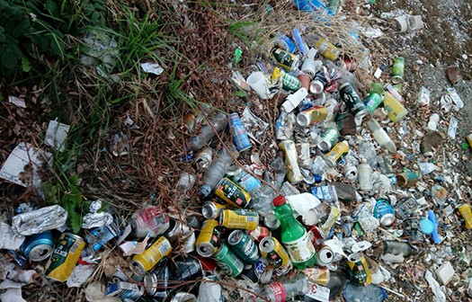 Amigas de la Tierra tweet media