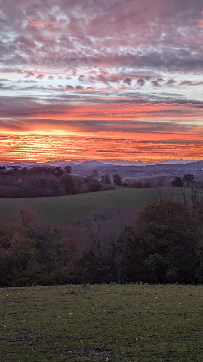 MayaPont's tweet image. Et bonne journée !