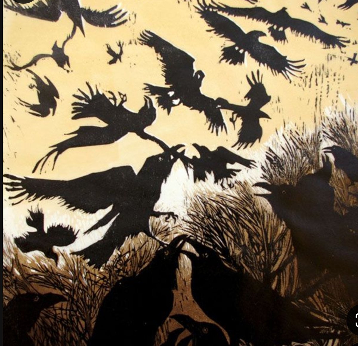 Shammi35659470's tweet image. raucous egos
never at rest
ever deficient 

#firewords
#deficient 
#ego
#7words 
#haiku
#micropoetry