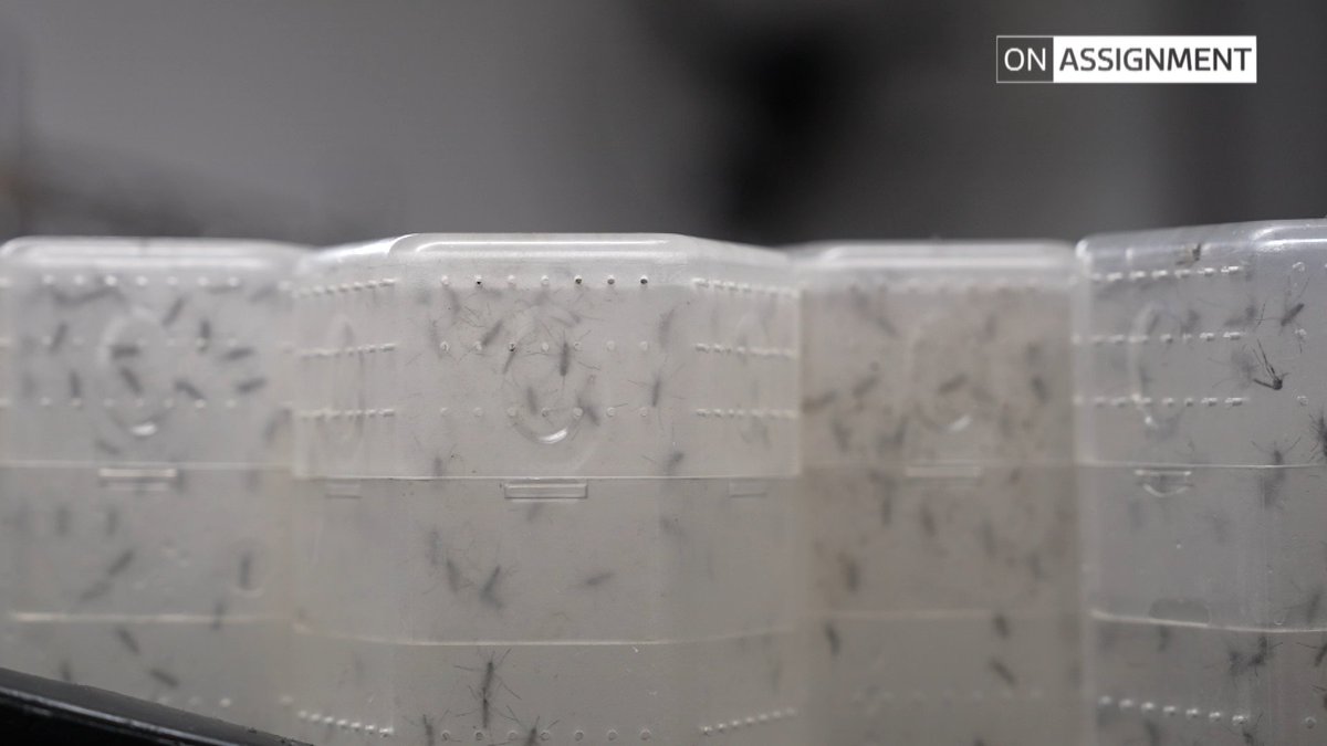 ITV On Assignment tweet media