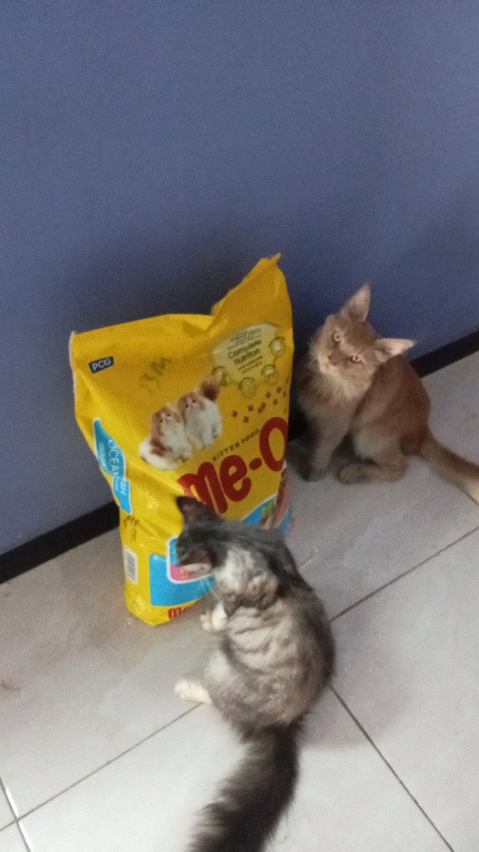 secondalya's tweet photo. Tau darimana nih bocah kalo paketnya buat mereka🫵😭😭 https://t.co/NgnHzHEOoX