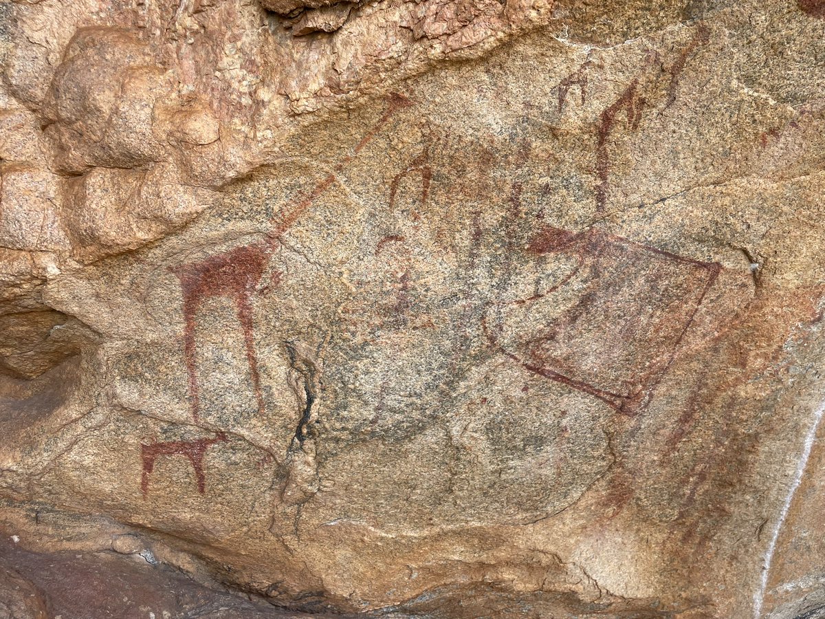 In #Somaliland, I was lucky to get a morning off &amp; visit the #LasGeel cave paintings. Well worth seeing if you get a chance. 

The fact cows are in the paintings show how the climate has become drier &amp; hotter since they were painted as only camels and goats in the area today