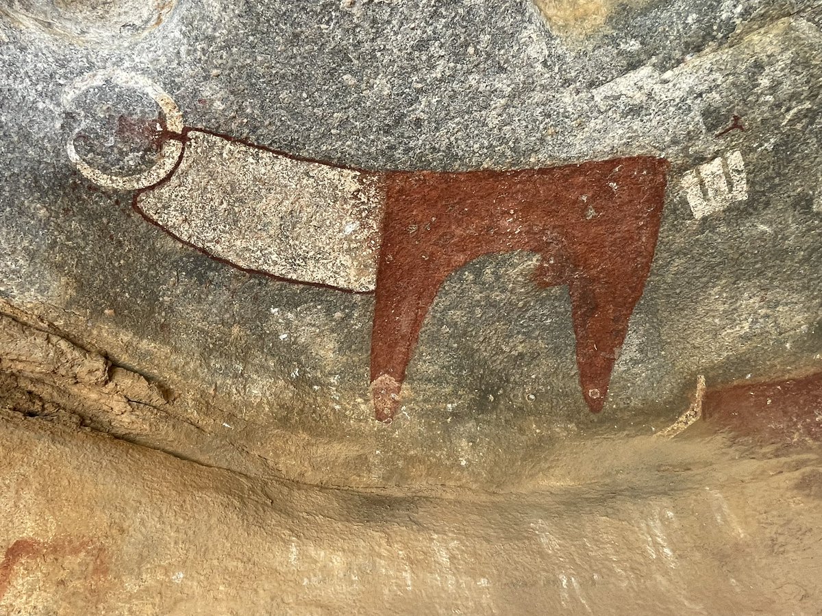 Tim Cole tweet media