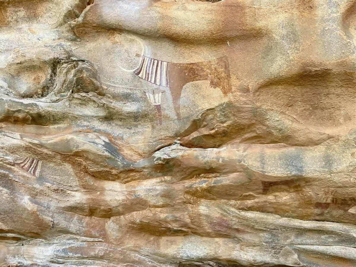 Tim Cole tweet media