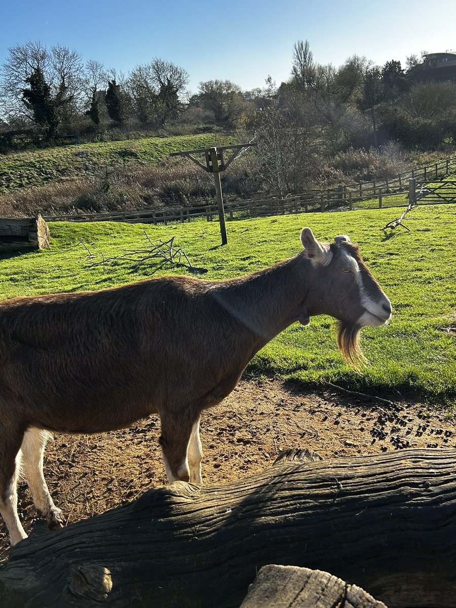 Elliot Sandy tweet media