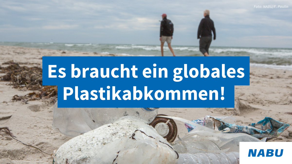 Die Verhandlungen zum globalen Plastikabkommen gehen nun in die entscheidende Runde. Für uns ist klar: Auch die Herstellenden von Neuplastik müssen zur Verantwortung gezogen werden. Dafür braucht es auch Regelungen zur Erweiterten Herstellerverantwortung.
nabu.de/natur-und-land…