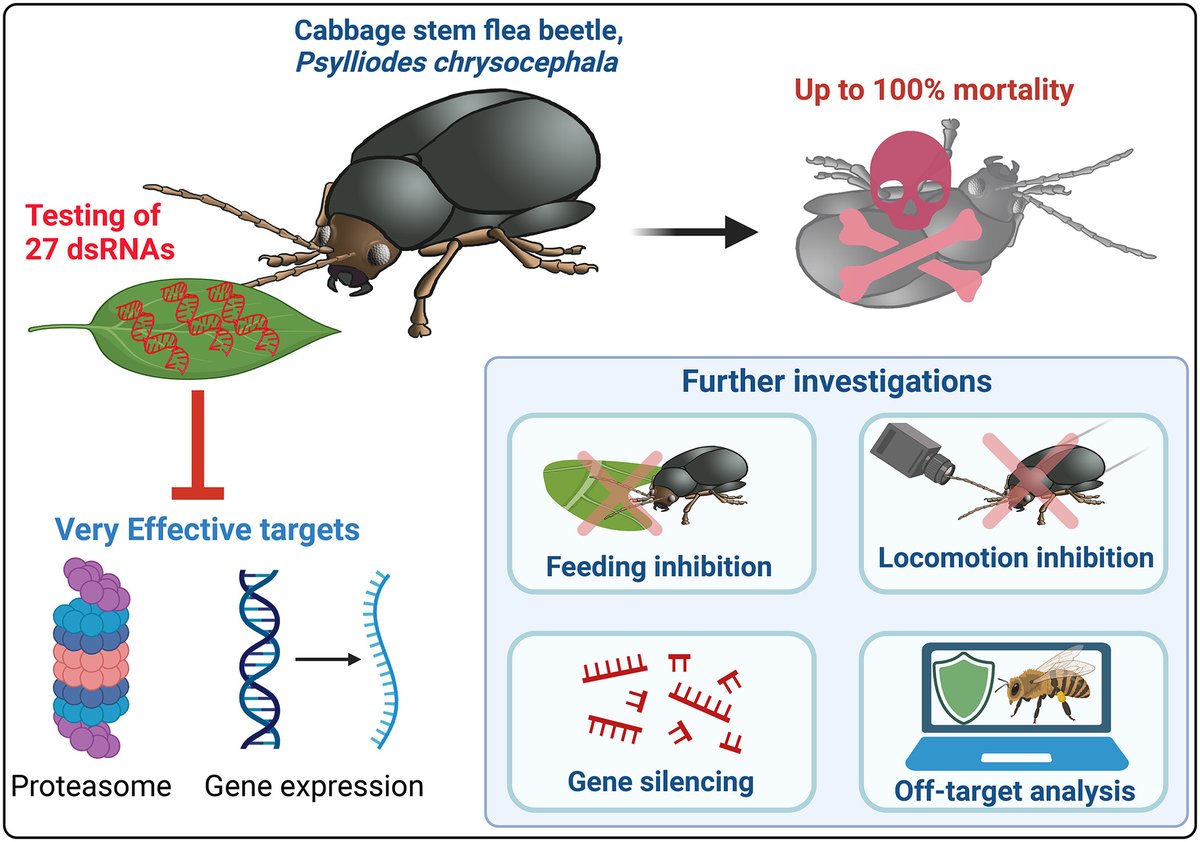Insect Molecular Biology tweet media