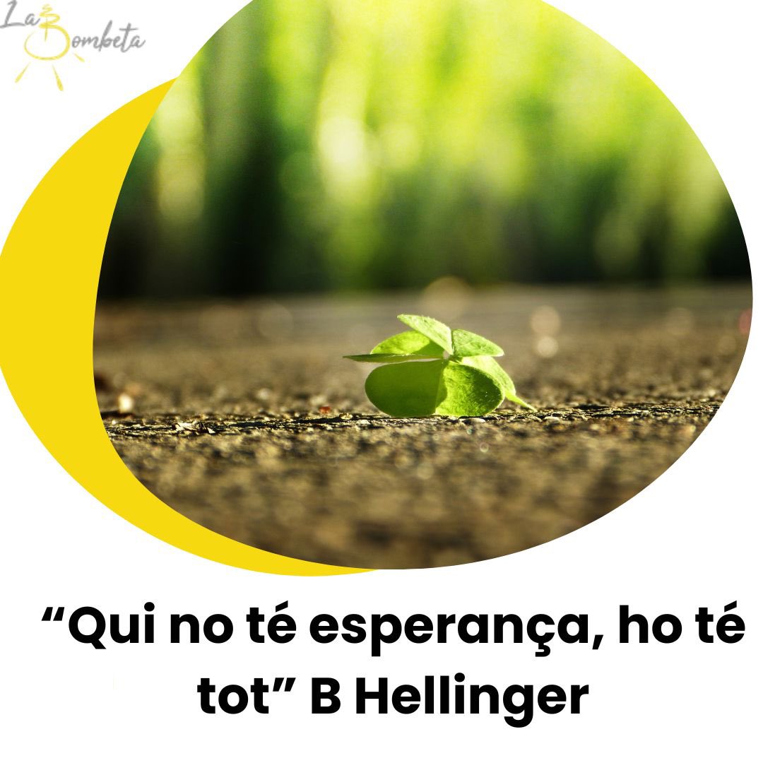 🌱 "Qui no té esperança, ho té tot" - Bert Hellinger
🫠 Quina frase... em ve sovint al cap en moltes situacions de la meva vida, com en les relacions però també com un marc per entendre el Món 👉 Com interpretes aquesta frase en la teva vida o feina? Quins aprenentatges t'evoca?