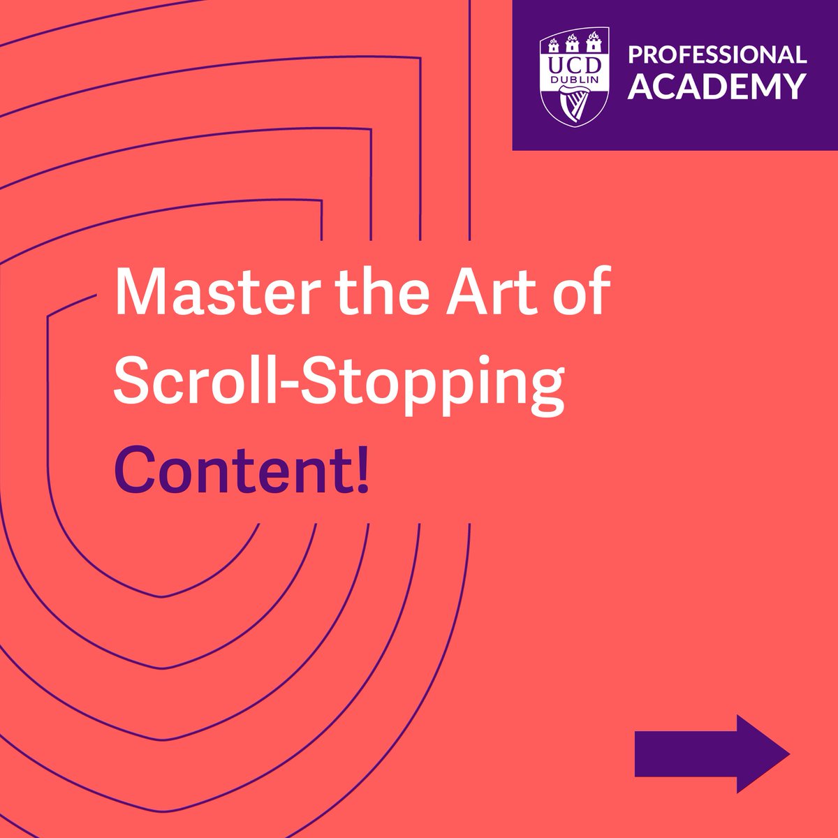 UCD Professional Academy tweet media