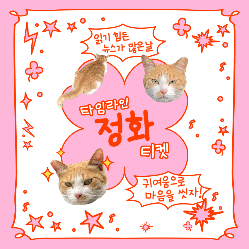 독자님들의 타임라인 정화를 위해 광고비를 벌어오지는 못했지만, 대신 고양이를 드립니다. 🦶✨