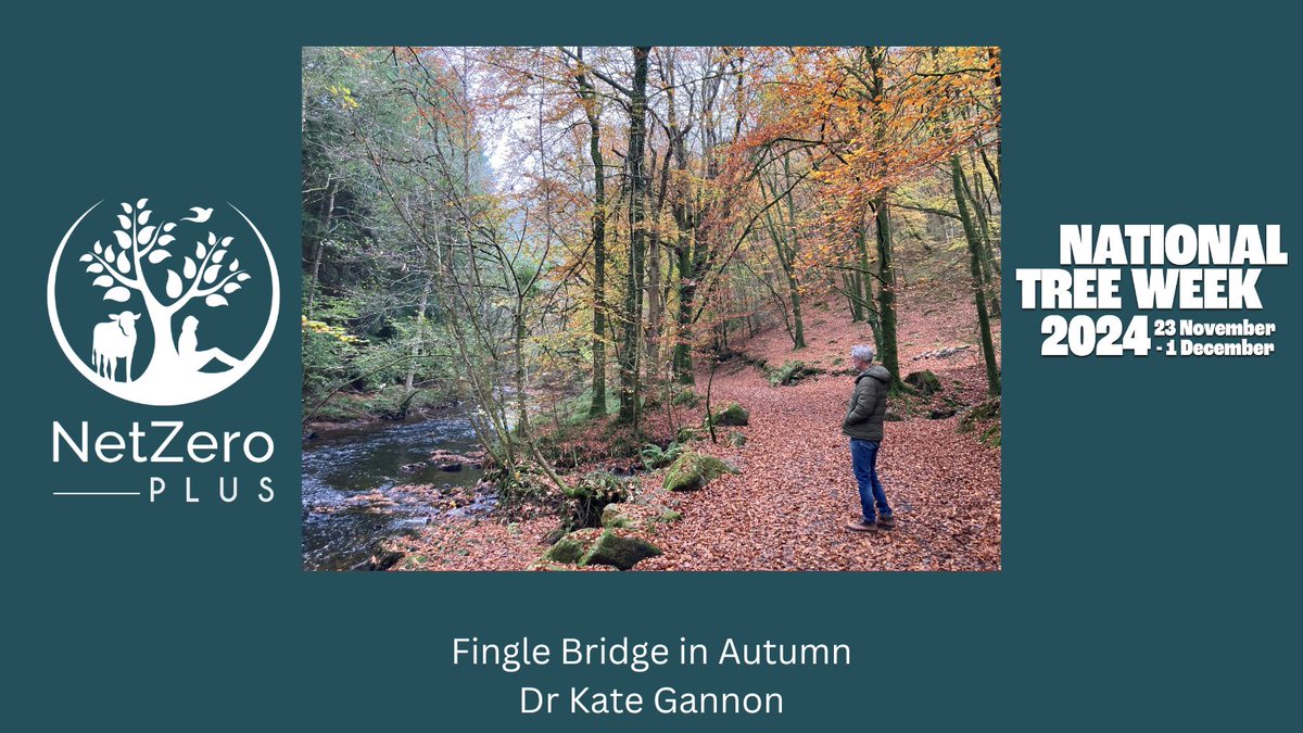 _NetZeroPlus's tweet image. Nature makes us better. Along with improving our quality of life, spending time in green spaces can help to make us physically healthier and improve our mental wellbeing.
#NationalTreeWeek #MentalHealthMatters
@ADD_TREES @Leep_Institute @CO2REhub