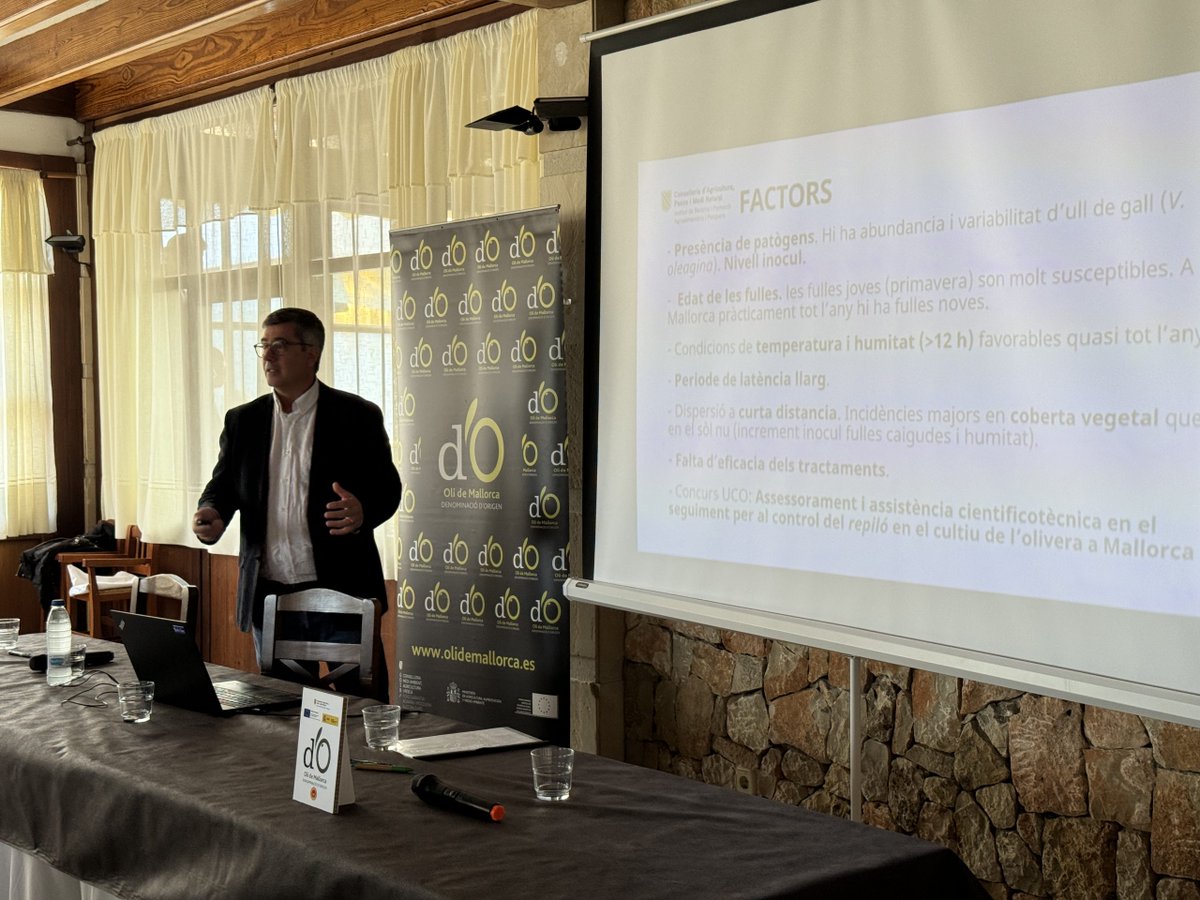 🙄<a href="/OlideMallorca/">Oli de Mallorca</a> enfrenta el año más difícil con la mejor respuesta del mercado
oleorevista.com/texto-diario/m…