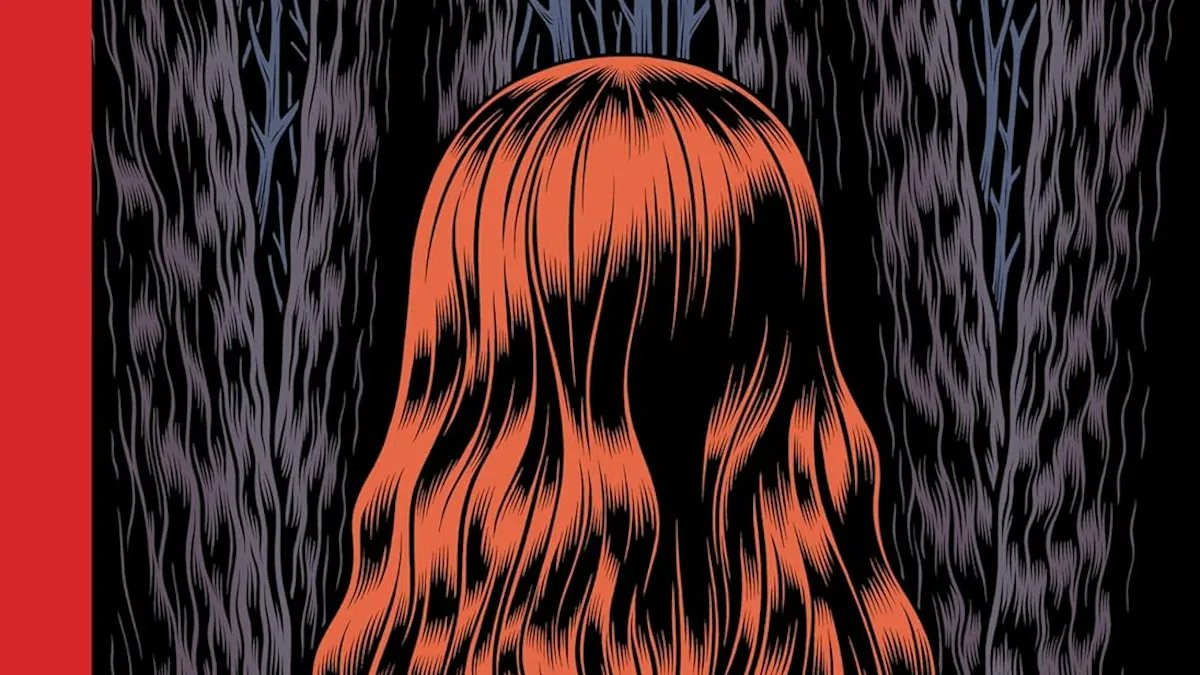 I 10 migliori fumetti del 2024, secondo il Washington Post -  fumettologica.it/2024/11/miglio…