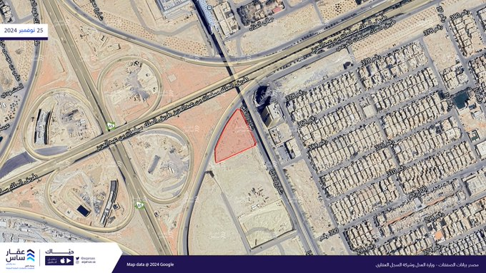 THE WOLF OF TASI ™ tweet media