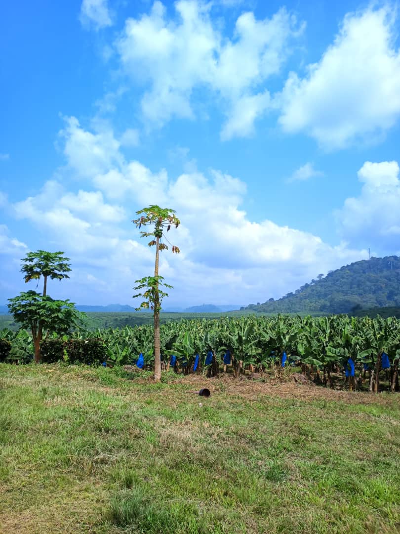 Jean-Charles Ledot tweet media