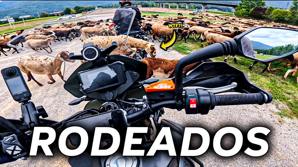 ❗️NUEVO VÍDEO DISPONIBLE EN YOUTUBE!

Una ruta súper TOP por Osona y La Garrotxa. Carreteras y paisajes muy recomendables que espero que disfrutéis tanto como yo!

➡️ youtu.be/5IkwGzdwJ9s?si…

#Soika #Youtube #Motovlog