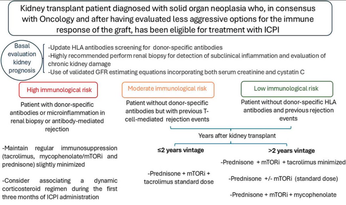 Management of immunosuppressive therapy and immunological therapy in kidney transplant recipients with a neoplastic diagnosis.

Read more here: t.ly/eH61a