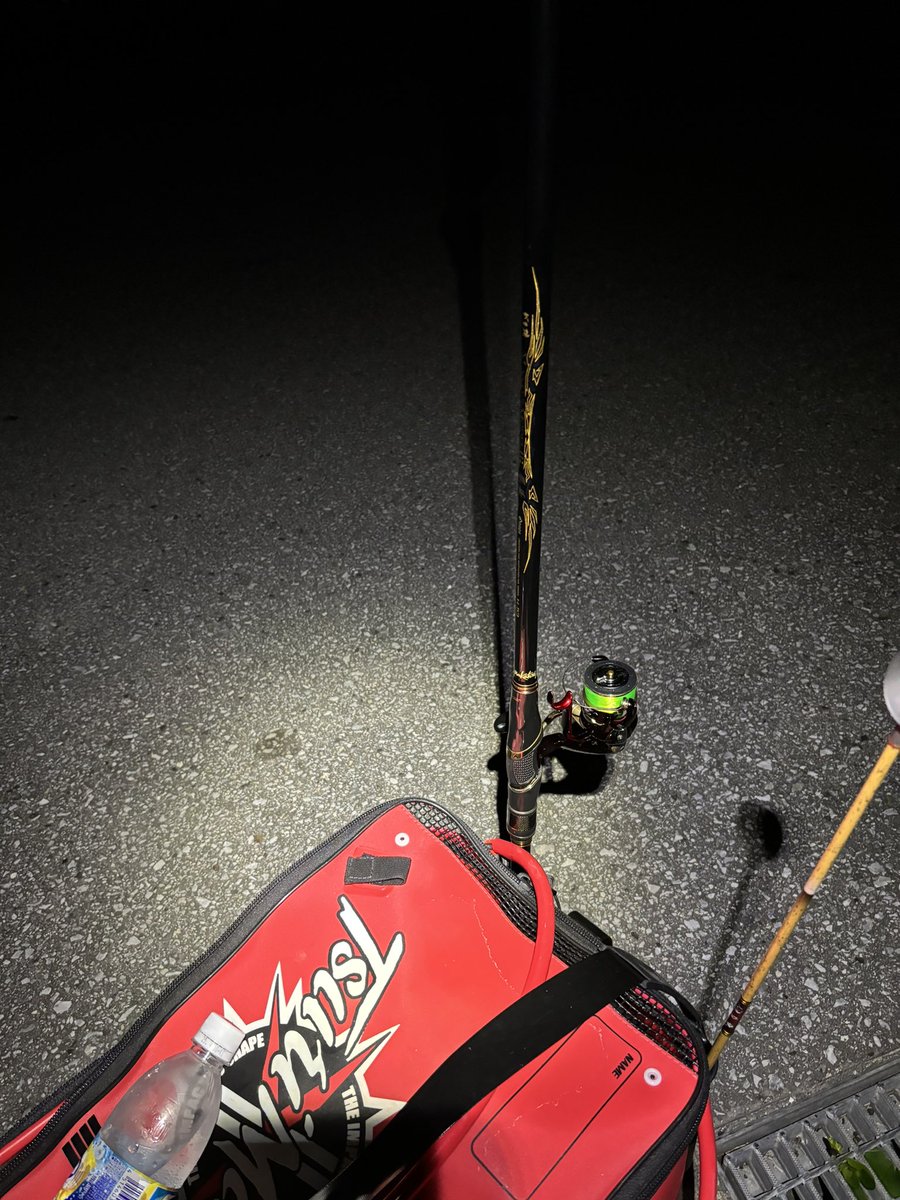 まじで忍耐力の釣りだ…

#チンシラー
#7連敗