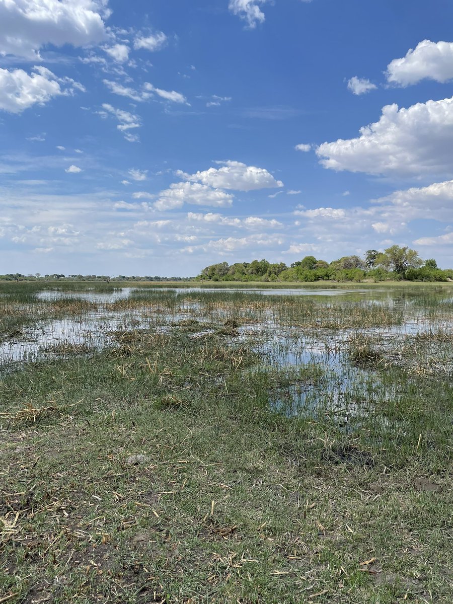 ๐งA/Prof Glenn Wilson (@drggwilson) on Twitter photo The #UoNInBotswana <a href="/Uni_Newcastle/">University of Newcastle</a> Global Experience kicked off last week with field training on riverbank and savanna plants and how to sample aquatic life. Thanks <a href="/UBBotswana/">University of Botswana Official</a> ! The #UoNInBotswana <a href="/Uni_Newcastle/">University of Newcastle</a> Global Experience kicked off last week with field training on riverbank and savanna plants and how to sample aquatic life. Thanks <a href="/UBBotswana/">University of Botswana Official</a> !