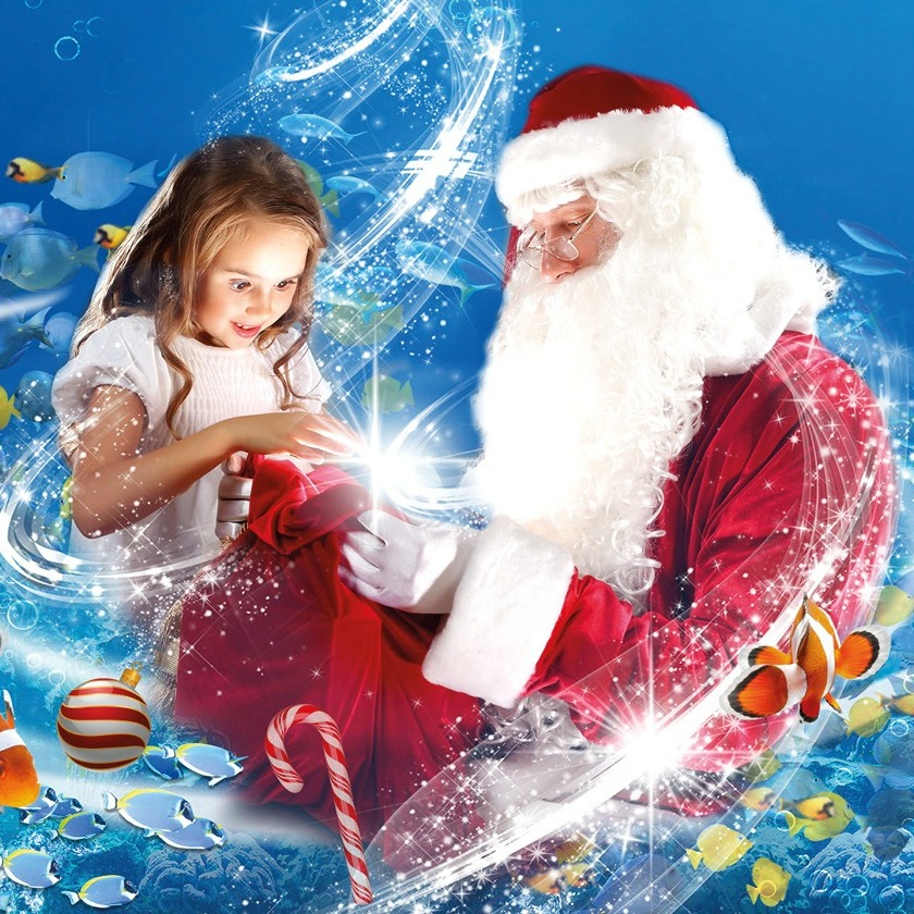 lochlomondshore's tweet image. It's almost time!  Have you booked your tickets yet to see SANTA at SEA LIFE Loch Lomond?!  Starting this Saturday and running on Saturdays and Sundays until 23rd December.
Find out more &amp;amp; pre-book tickets at bit.ly/3Z2WcTx
#visitsanta #santaatsealife #lochlomond