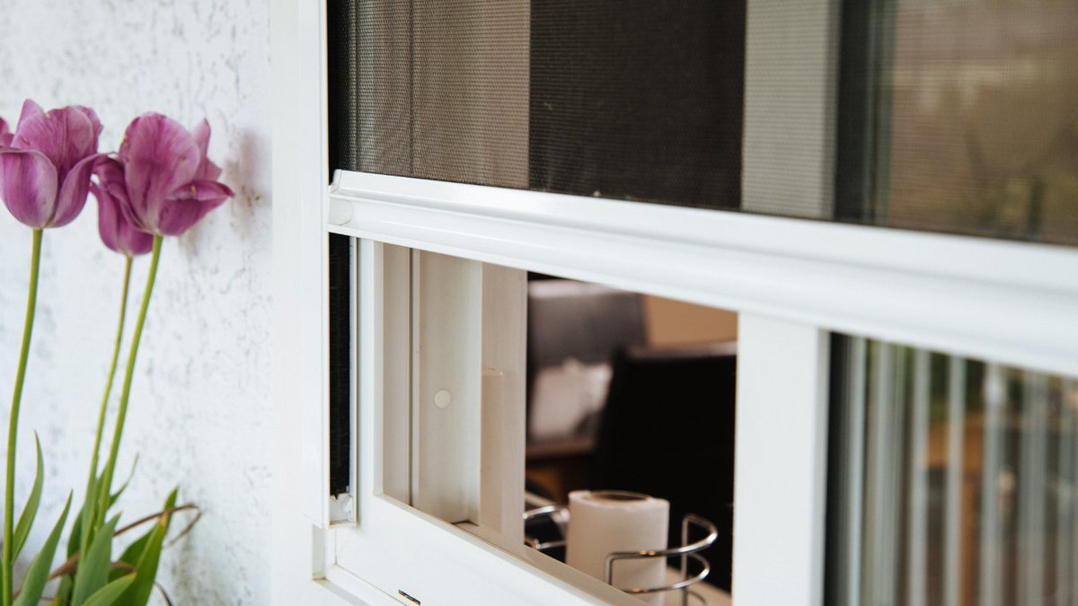 PhantomOntario's tweet photo. Struggling with window condensation? Enhance your home environment with Phantom Screens. Discover the perfect balance of ventilation and elegance. Visit https://t.co/v0Fx8omBDd today.

#WindowCondensation #FreshAir #HomeImprovement #EnergyEfficiency #OSSI #OntarioScreenSystems https://t.co/XoEPl221Sr