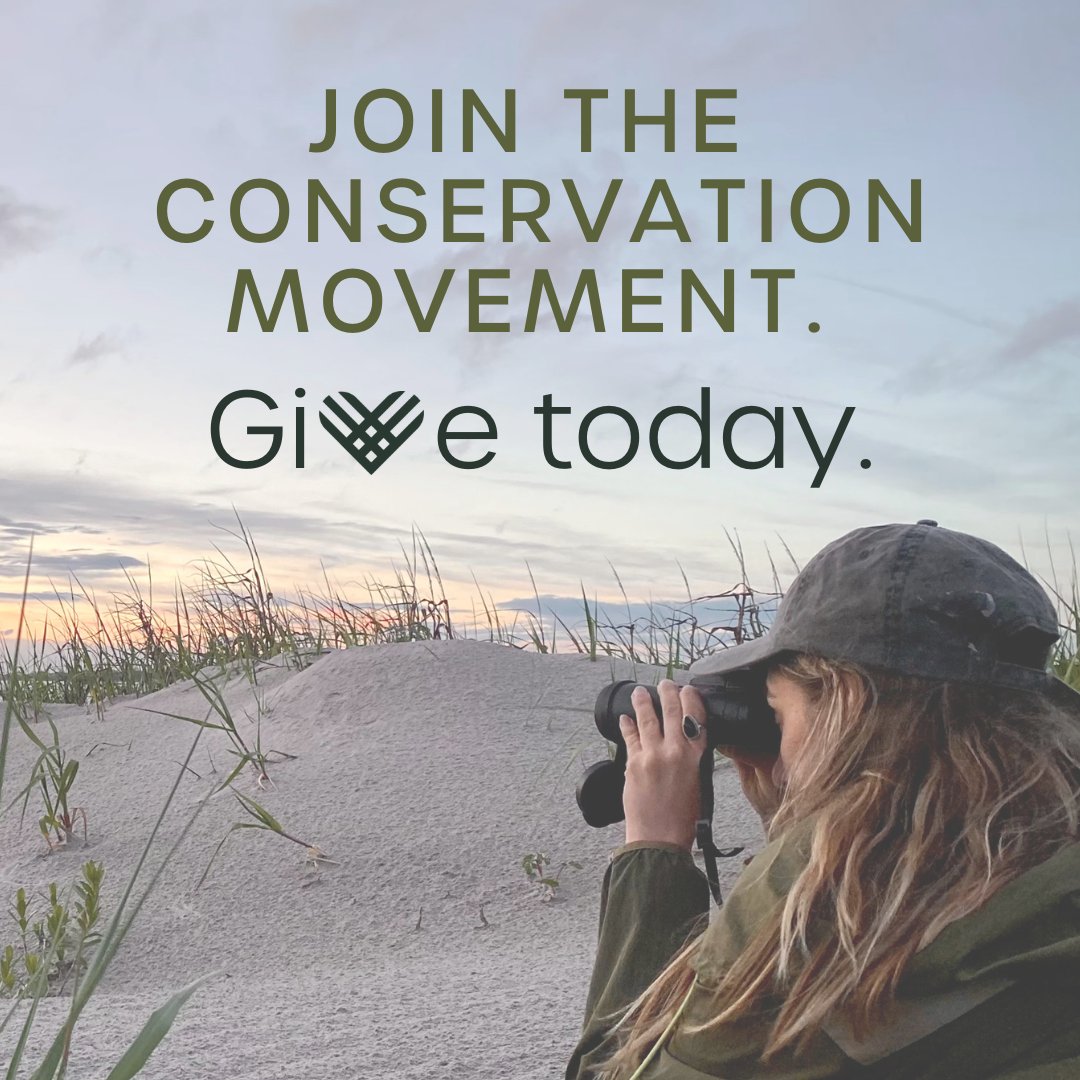 Join the conservation movement this #GivingTuesday. 

By giving to conservation, you become an integral part of a dedicated team committed to protecting the places and wildlife we all love.