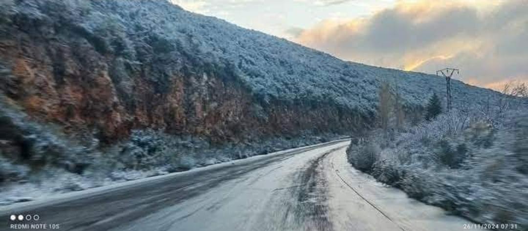 ثلوج صباح اليوم على طريق  #جبلة بيت ياشوط الغاب.. ❄️
الله يبعت الخير 🌧️🫶🇸🇾