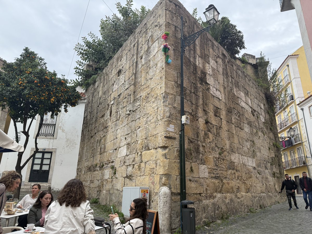 BadToxic's tweet photo. Our first steps through #Lisbon, #Portugal (#ship #NorwegianPearl).

#TukTuk #Lissabon #Lisboa #tourism #churches #Kirchen #city #Stadt #orangeTree #oldBuildings #cruiseShip #cruise #Kreuzfahrt #Schiff #vacation #Urlaub @umiizza #NowegianCruiseLine @CruiseNorwegian https://t.co/28eMPF5UOo