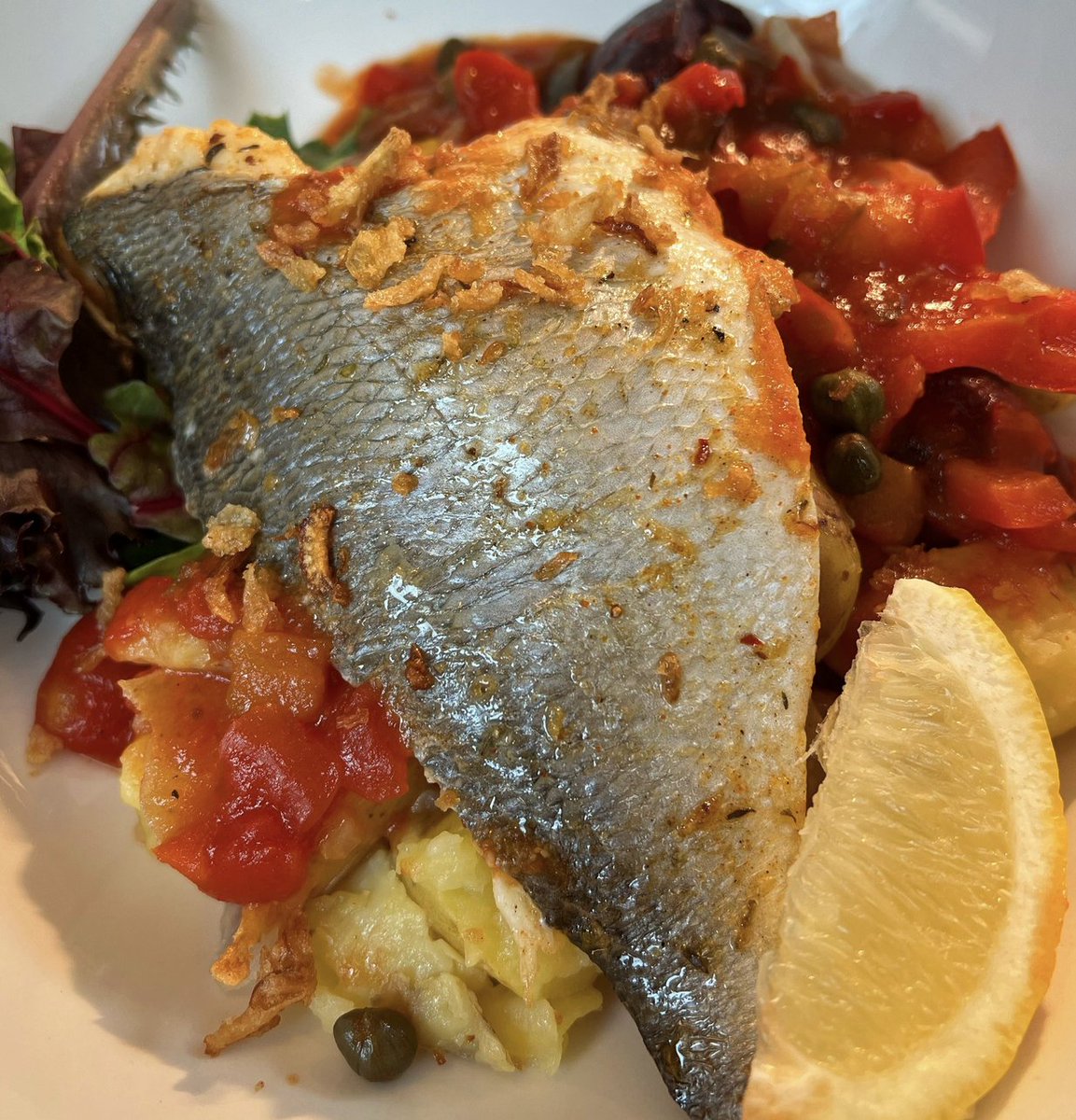 Why Buy British Seafood?🇬🇧

It helps to build opportunities and create jobs in coastal areas that can often feel forgotten and overlooked.

These communities deserve our support...

Love British Seafood!🇬🇧