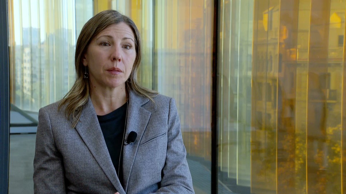 3CatInfo tweet media