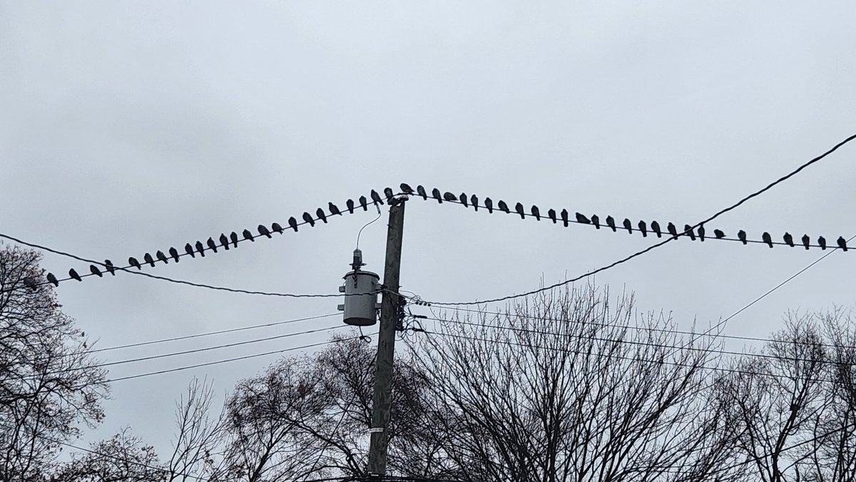 Novel grid enhancing technology