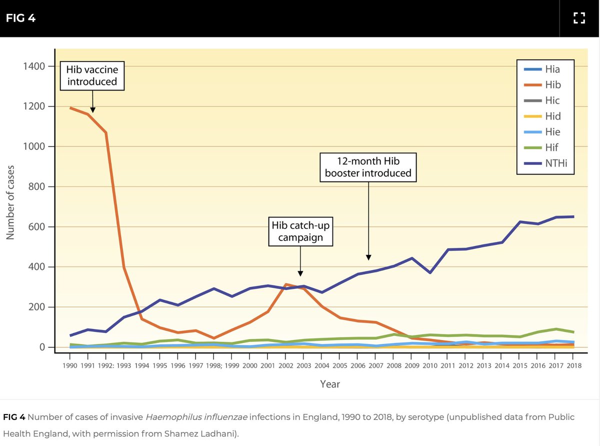 RyanRLion's tweet photo. 📉The Hib vaccine has led to a dramatic decline in H Flu type B infections worldwide. From one of the leading causes of bacterial meningitis in kids to near elimination in many regions - just a reminder how vaccines have saved countless lives of children 💉🌍 #VaccinesWork #Hib https://t.co/mCW7tuyVt9