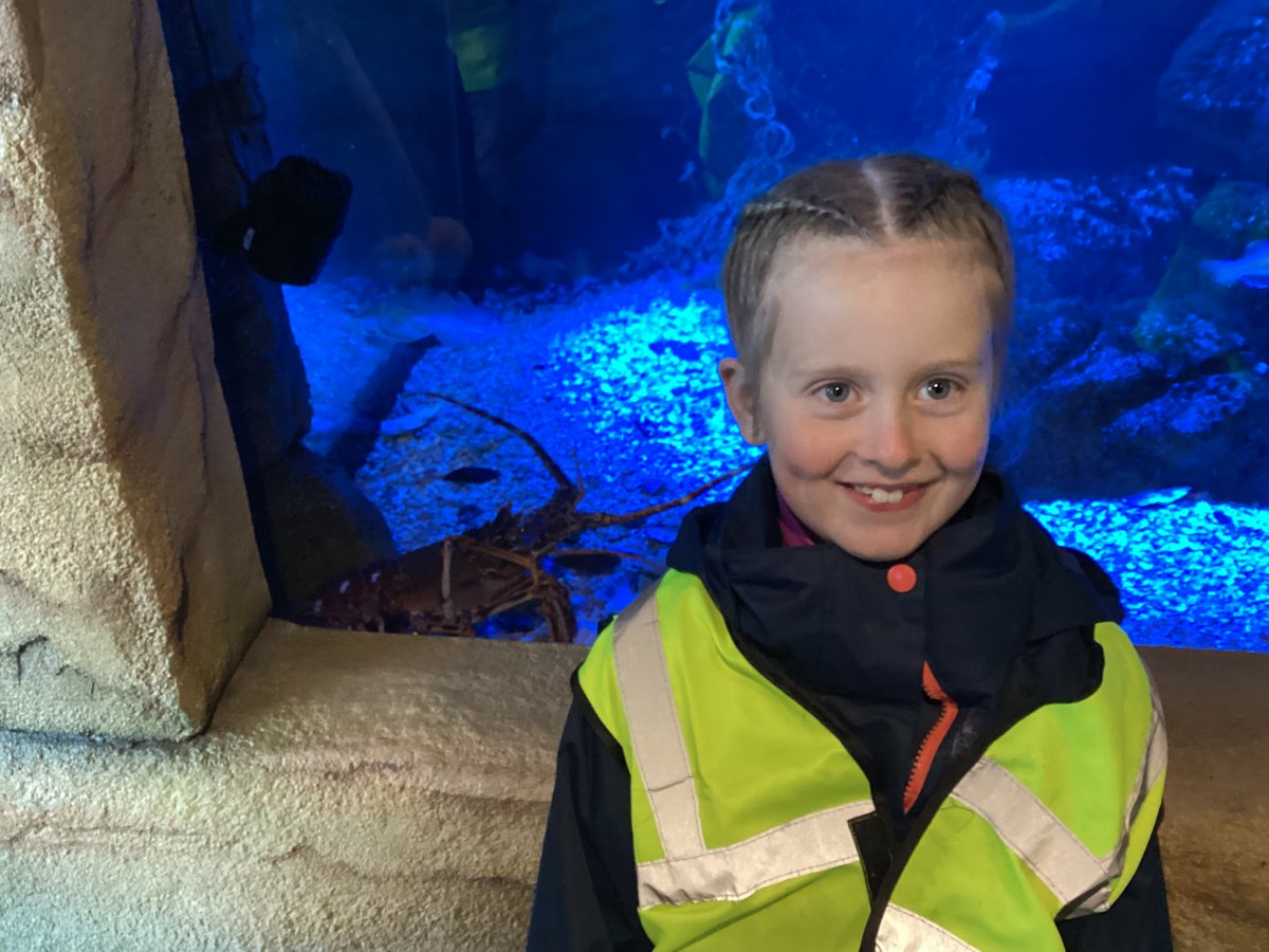 Broughton Primary tweet media