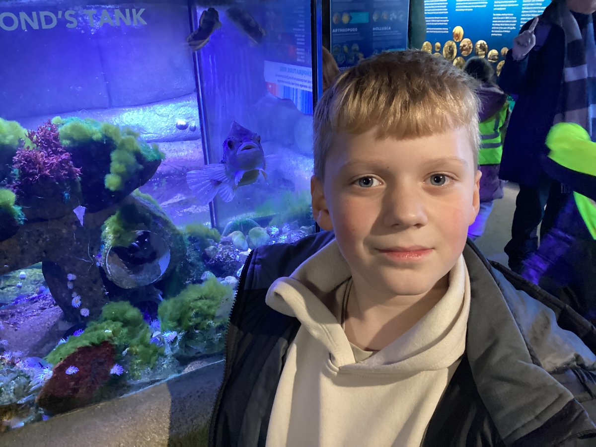 Broughton Primary tweet media