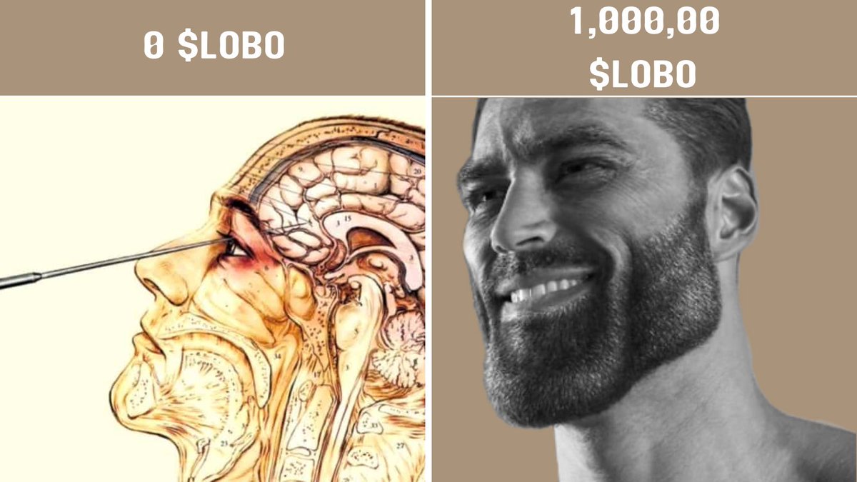 LobotomyCoin's tweet photo. #lobo #lobotomy #lobotomycoin #SOL #crypto #Cryptocom https://t.co/I0TtO45aO6
