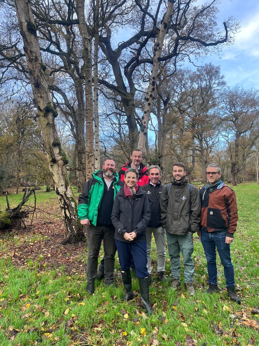 Mary Creagh CBE MP tweet media