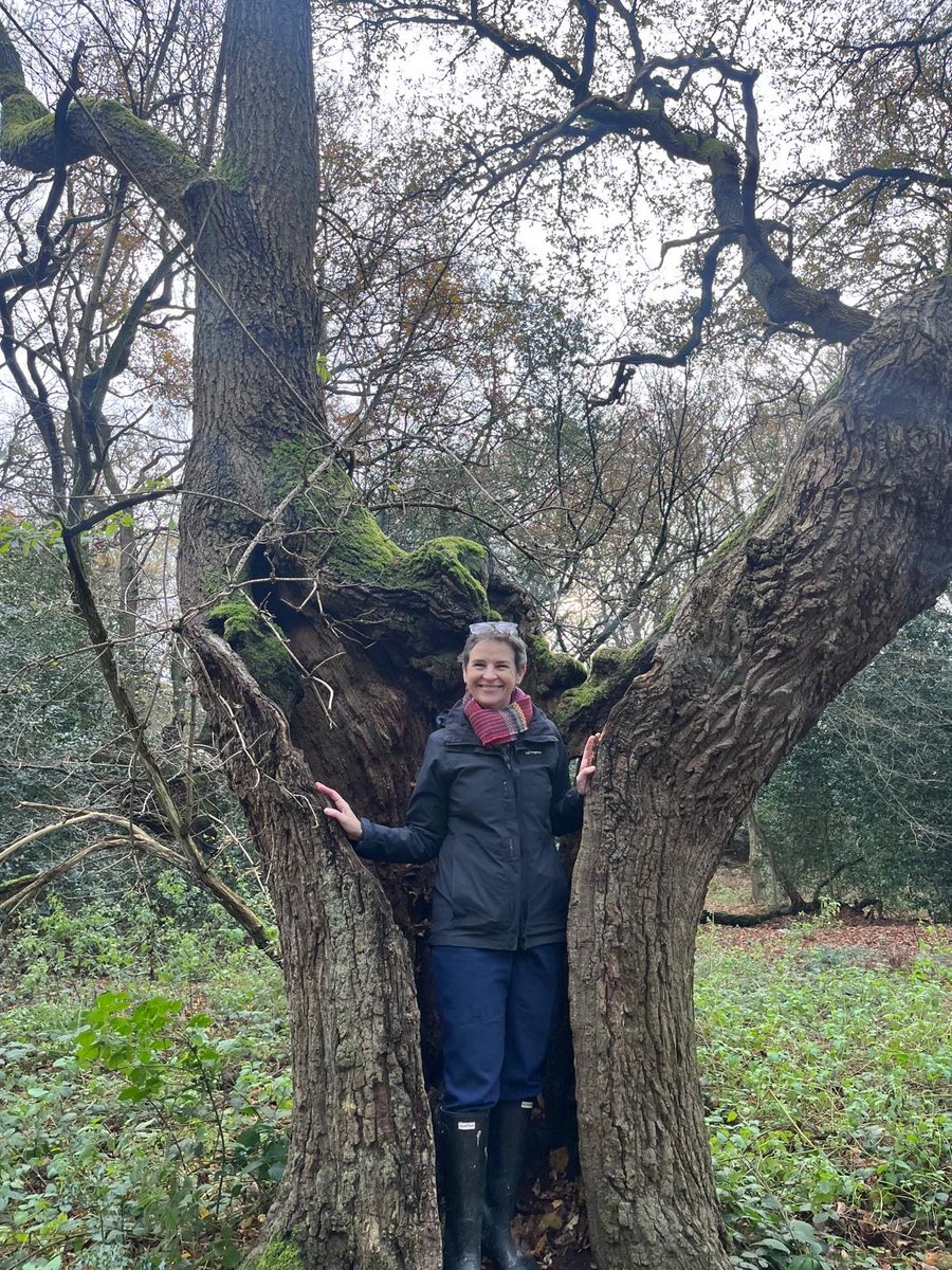Mary Creagh CBE MP (@marycreagh_) on Twitter photo It’s #nationaltreeweek so yesterday I went to Hainault Forest in Redbridge with @WoodlandTrust <a href="/ForestryComm/">Forestry Commission</a> to hear what they are doing to bring trees closer to people and protect our ancient woodland for the future. It’s #nationaltreeweek so yesterday I went to Hainault Forest in Redbridge with @WoodlandTrust <a href="/ForestryComm/">Forestry Commission</a> to hear what they are doing to bring trees closer to people and protect our ancient woodland for the future.