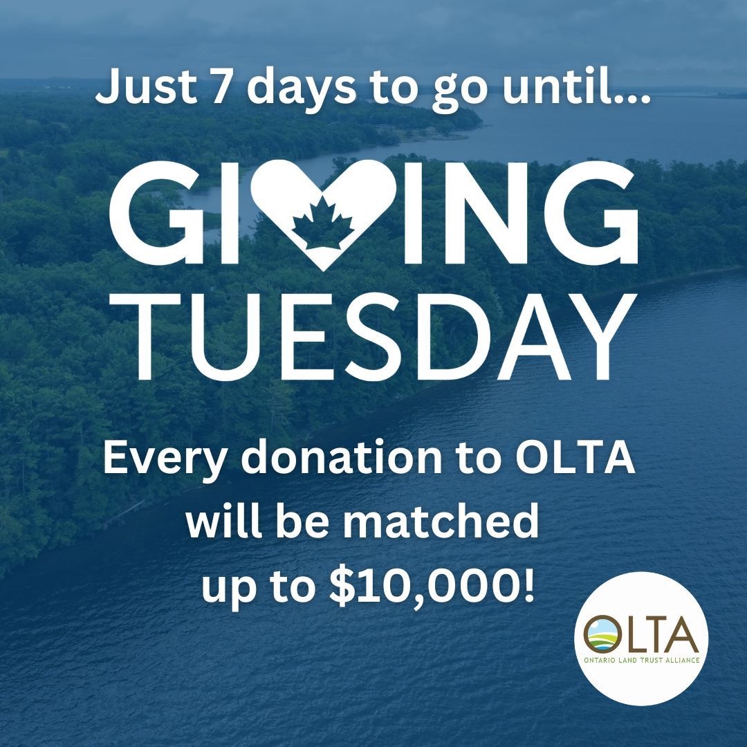 📅 Save the date: Starting next Tuesday, you can help us raise $10,000 to expand our capacity to empower land trusts. Plus, your gift will be doubled by a generous, anonymous donor—every dollar up to $10,000 will be matched this December! 

#GivingTuesday #ConservationHeroes