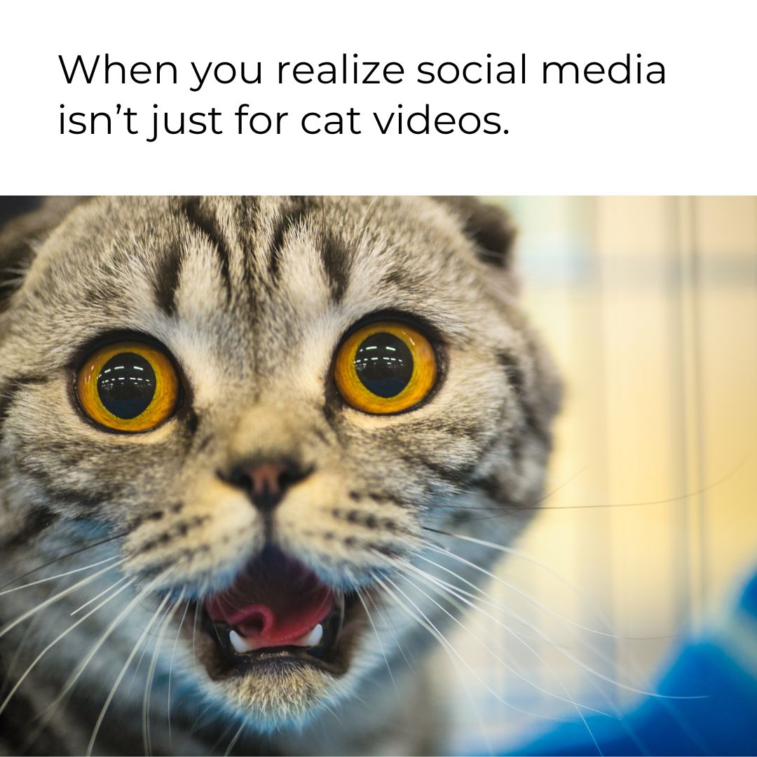 Your social media isn’t just for sharing vacation pics. Let Faceless Marketing turn your accounts into customer magnets instead of digital ghost towns.
#SocialMedia #CatMeme #FacelessMarketing #Marketing #Advertising #Funny #Business #Entrepreneur
faceless.marketing
