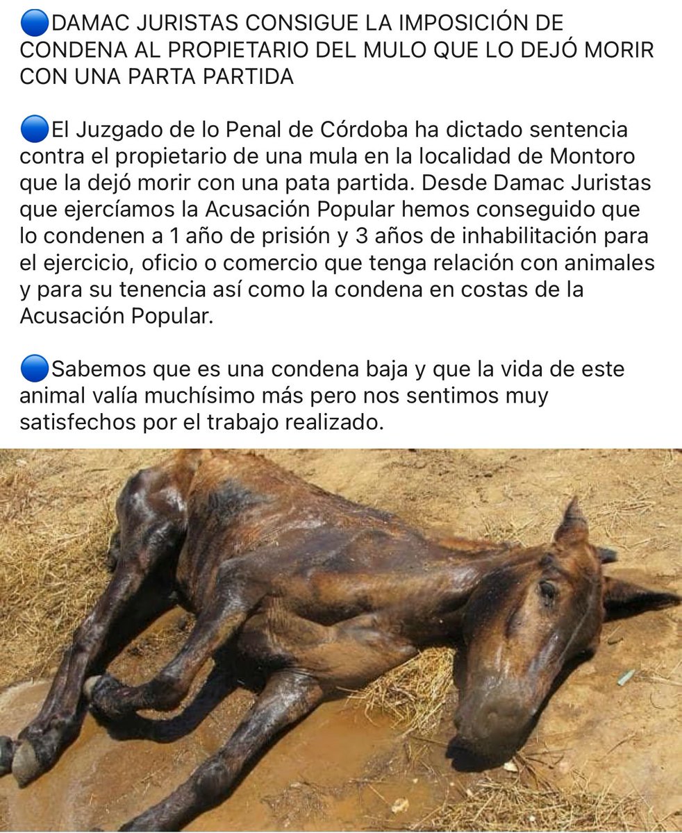 damacjuristas (@damacjuristas) on Twitter photo 