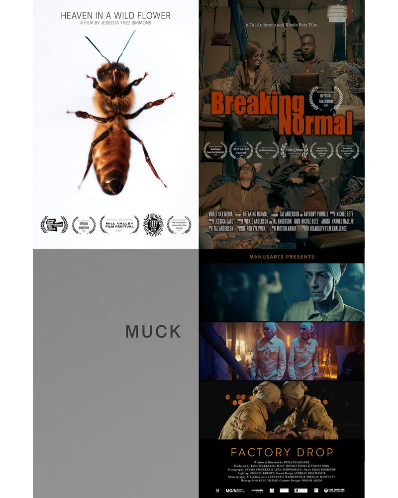 ShermanOaksFilmFest tweet media