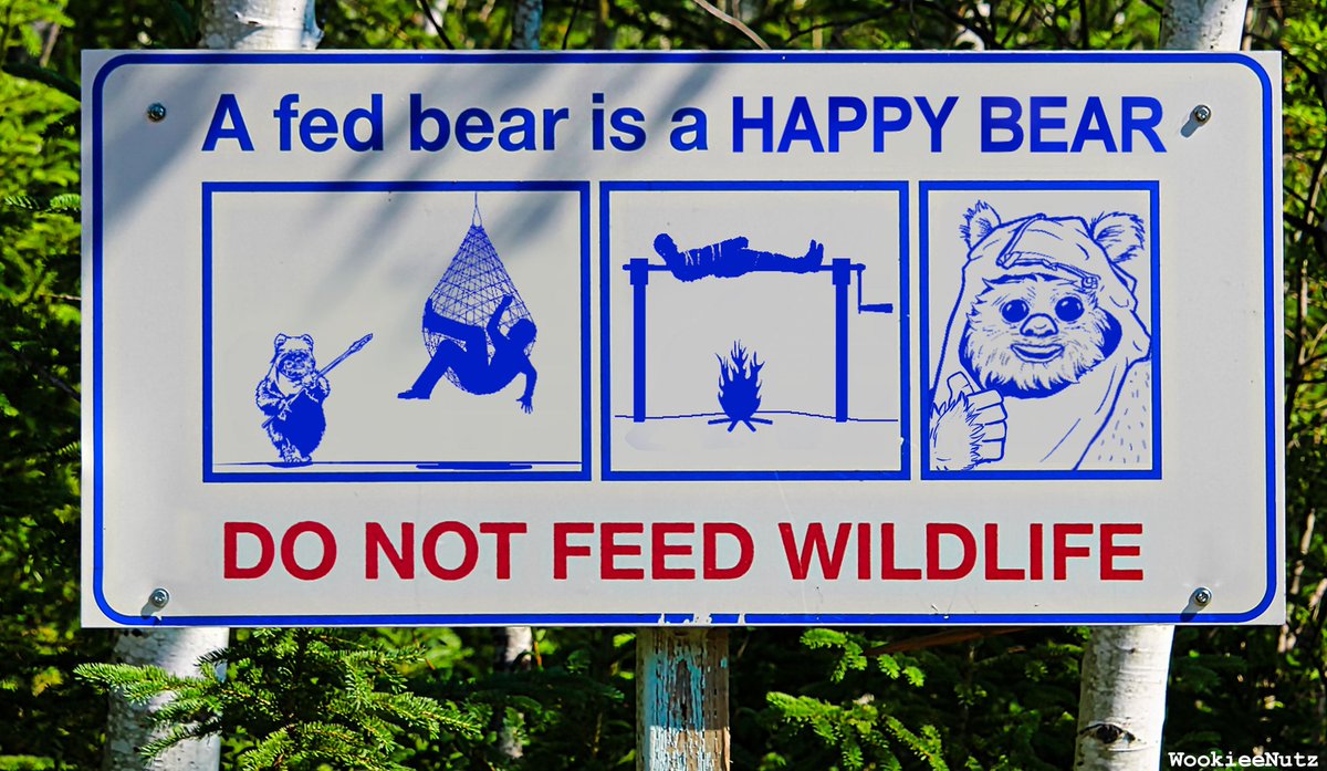 #StarWars
🧸🍽
Happy Bear