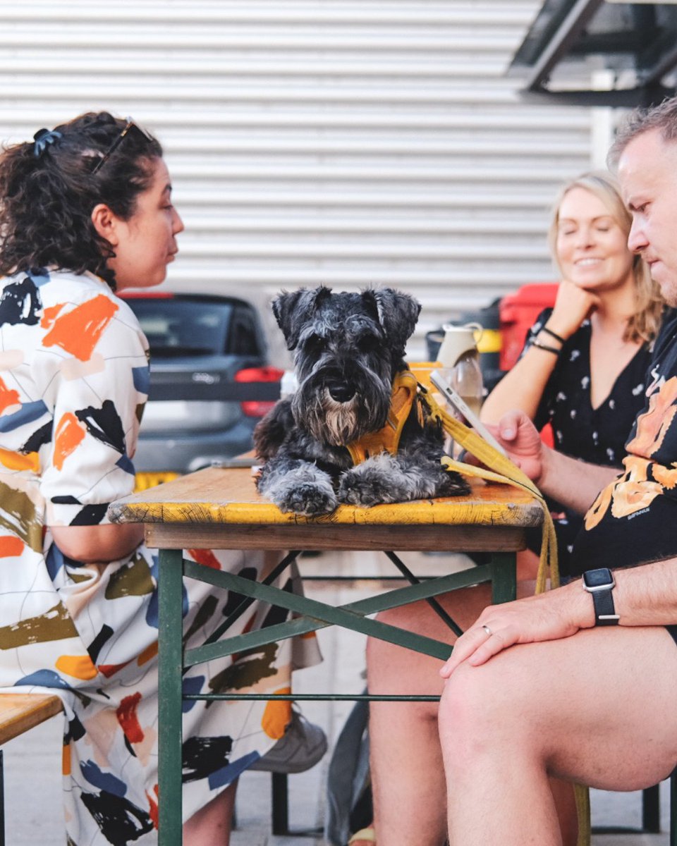 Queer Brewing tweet media