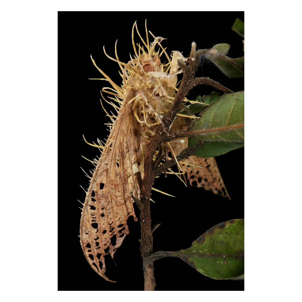 John Horstman tweet media