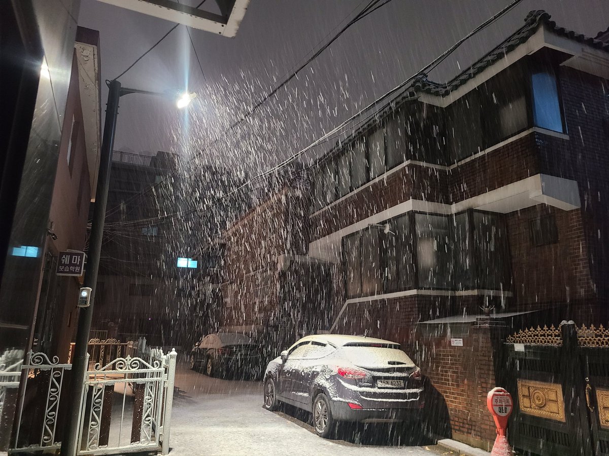 dillcokr's tweet photo. 눈이온다. https://t.co/uII9zl2eb1