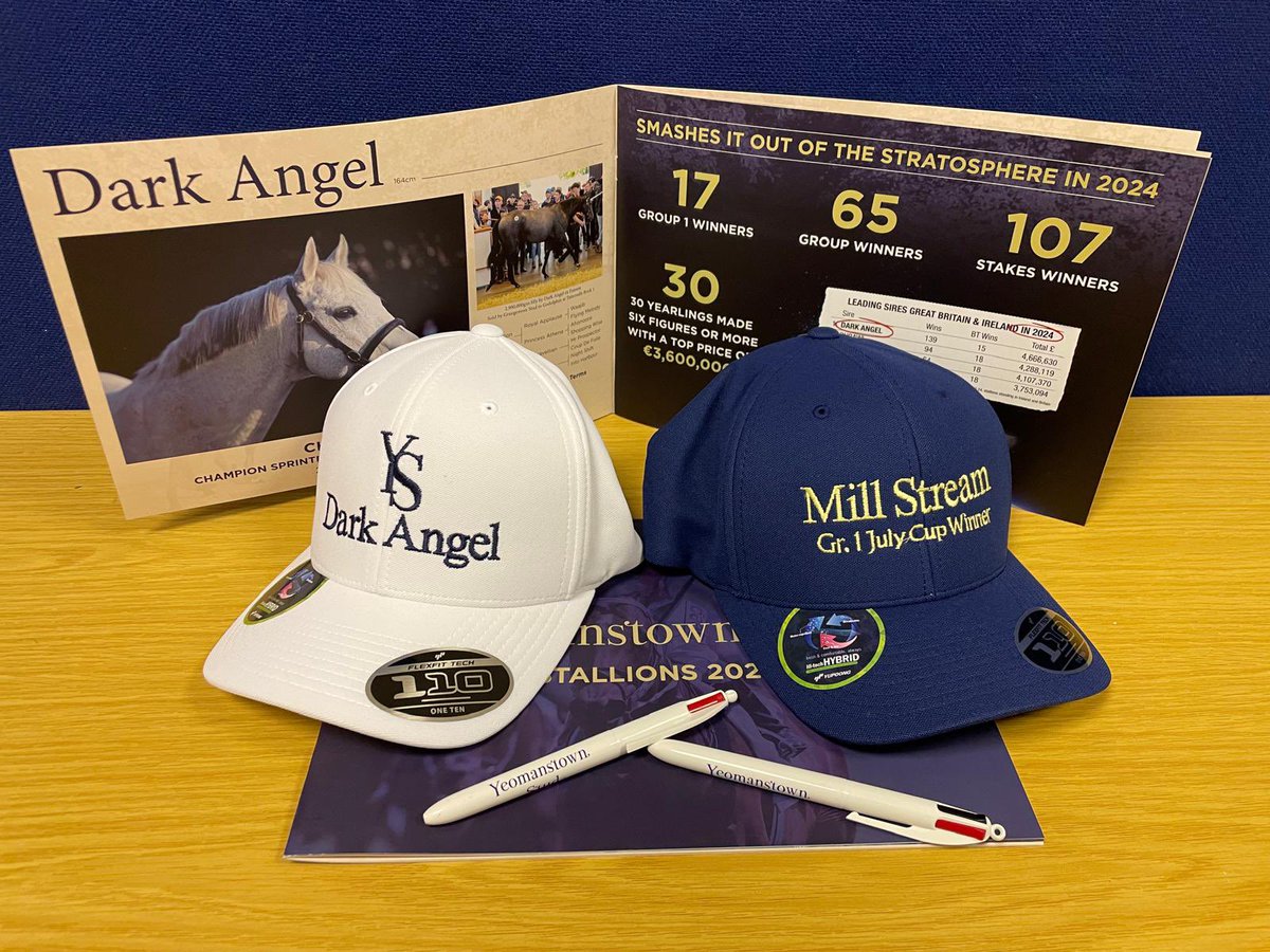 Thank you <a href="/YeomanstownStud/">Yeomanstown Stud</a> for a fantastic donation towards the Christmas Auction. A very special limited edition of a Dark Angel cap. <a href="/CJRacingUK/">𝗖𝗝</a>