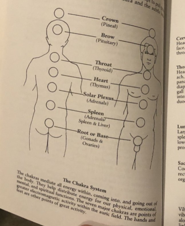 AmurakaHidden's tweet photo. We ALL Devour, ALL Human Beings are Devourers, Luciferians and Non-Luciferians Alike, like it or not, we are all part of the food chain. We must devour others Life Force to Survive.

Luciferians simply embrace this Heirarchy and expand their 'Food', or Life Force, Possibilities. https://t.co/6HsRbEBqnq