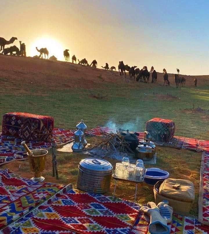 عيادالشمري tweet media
