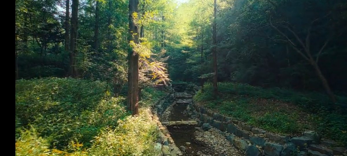 Na♡ 🐰 tweet media