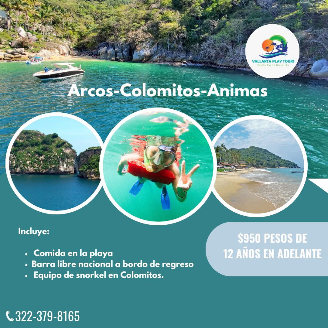 VallartaPtours's tweet photo. Vive una experiencia unica abordo de un Catamaran! 🛳

https://t.co/wMggWwrHrr

#VallartaPlayTours #noviembre2024 #arcos #Colomitos #animas #PaseosEnBarco #diversionasegurada #vacacionesenfamilia #PuertoVallarta #ToursPuertoVallarta 🏝 https://t.co/yRXxVKZtV8